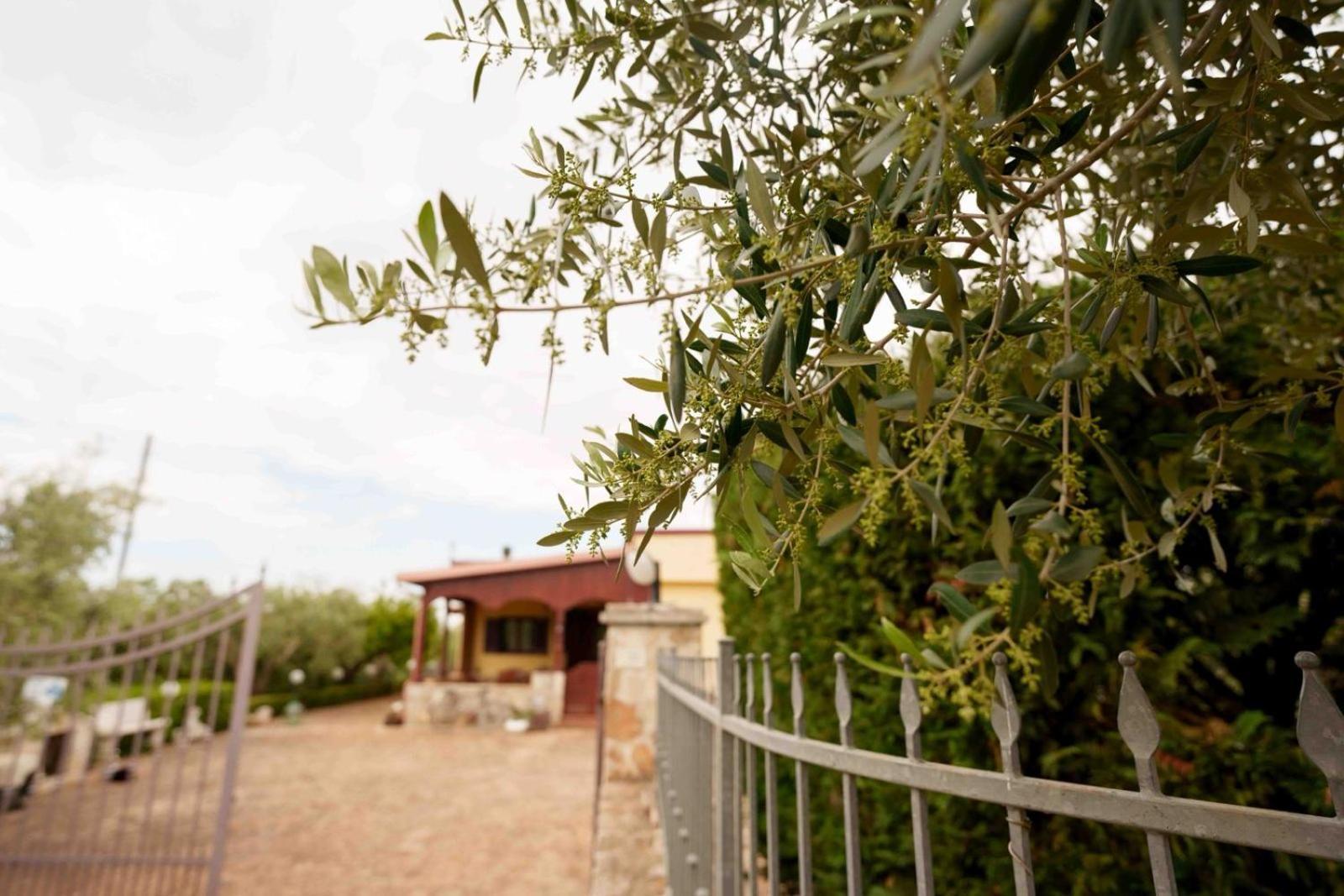 Villa Mario Mottola Kültér fotó